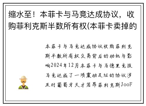 缩水至！本菲卡与马竞达成协议，收购菲利克斯半数所有权(本菲卡卖掉的球星)